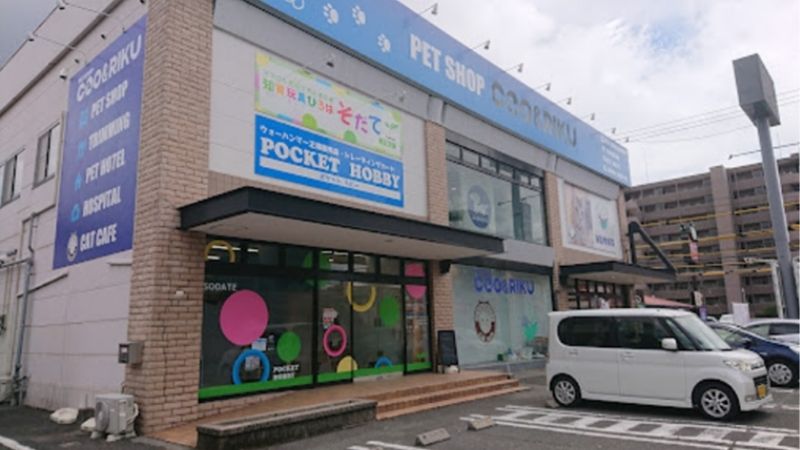 pocket hobby外観